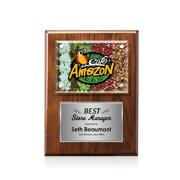 Gossamer Multicolor Plaque #39