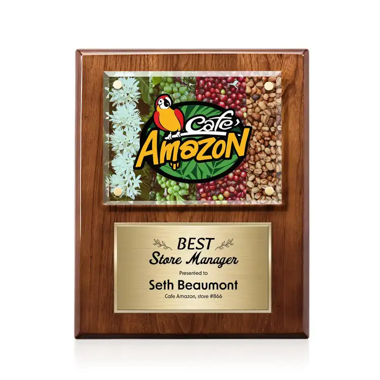 Gossamer Multicolor Plaque #41