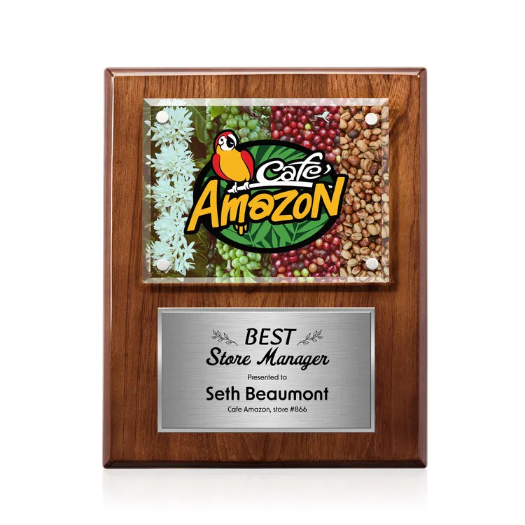 Gossamer Multicolor Plaque #43