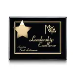 Plaque Hollister - Noir/Or 8 x 10 po