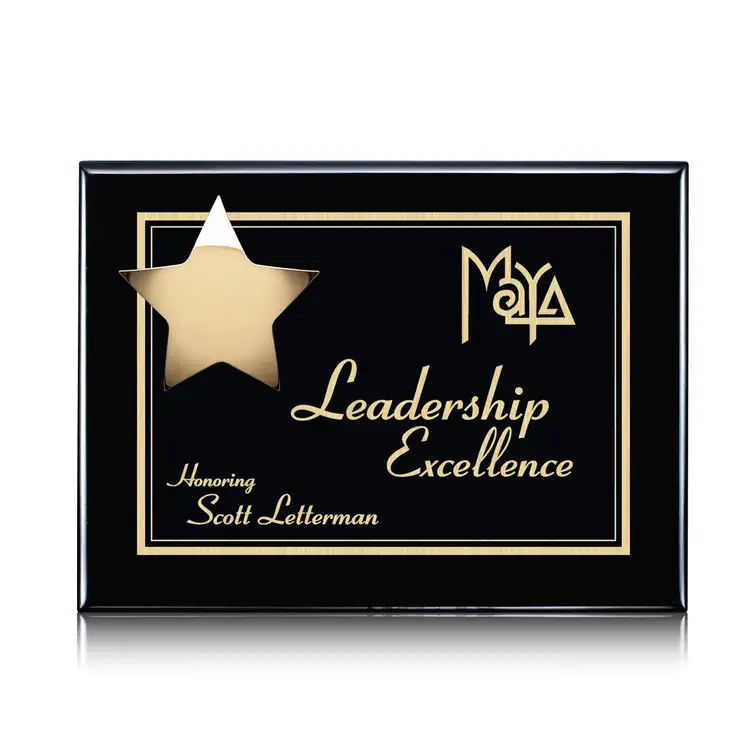 Hollister Plaque - Black/Gold 9 x 12 in