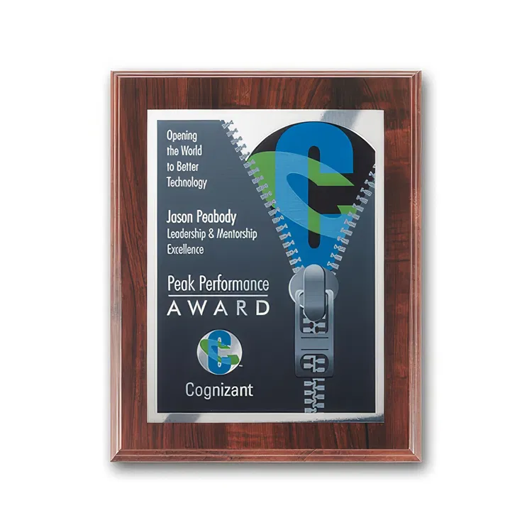 SpectraPrint Multicolor Plaque #13
