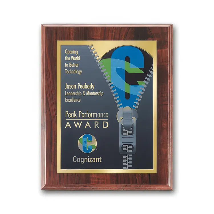 SpectraPrint Multicolor Plaque #24