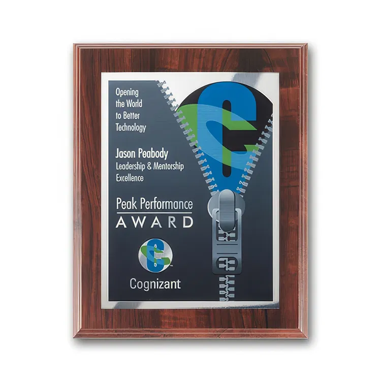 SpectraPrint Multicolor Plaque #25