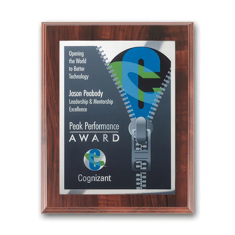 SpectraPrint Multicolor Plaque #37