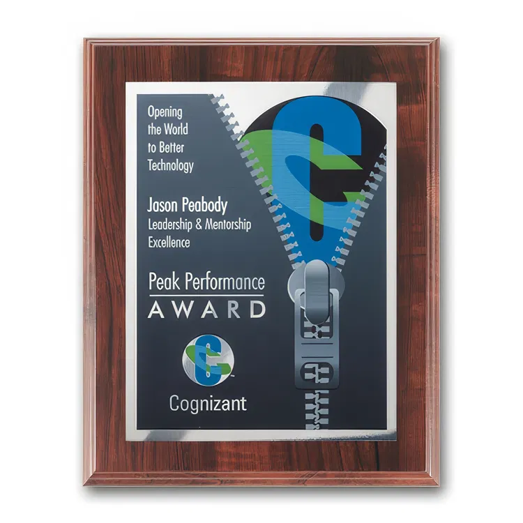 SpectraPrint Multicolor Plaque #49