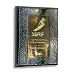 Plaque Wave
