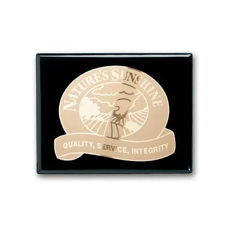 Etch Frosted Plaque - Ebony #2
