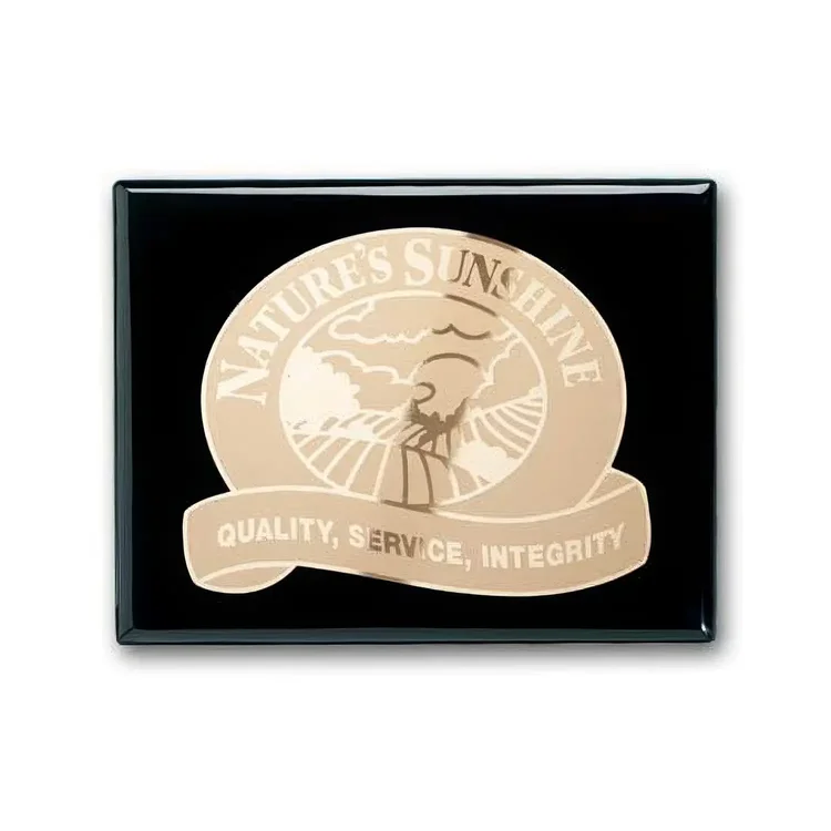 Etch Frosted Plaque - Ebony #3