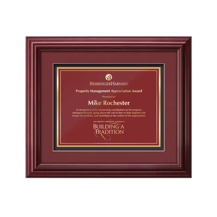 Darlington Marietta Framed Award #2
