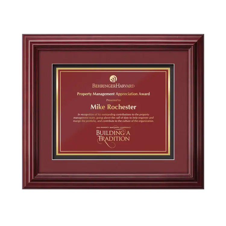 Darlington Marietta Framed Award #3