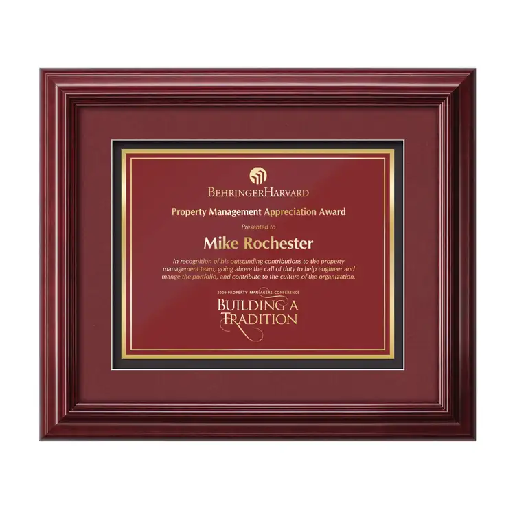 Darlington Marietta Framed Award #4