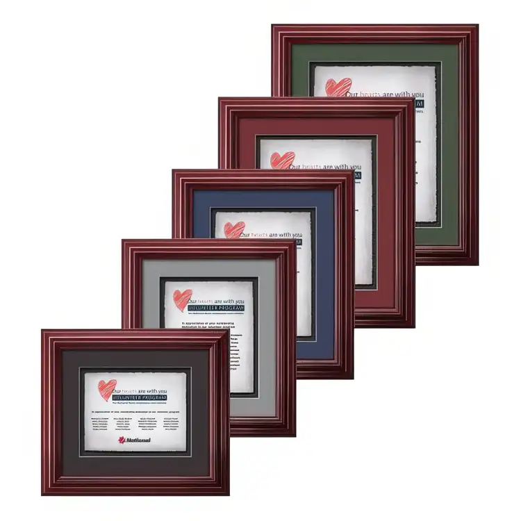 Darlington Multicolor Framed Award