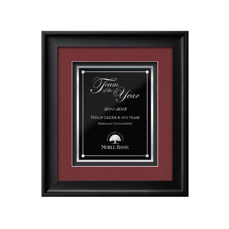 Heidelberg Gemini Framed Award #3