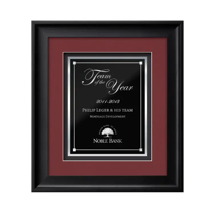 Heidelberg Gemini Framed Award #5