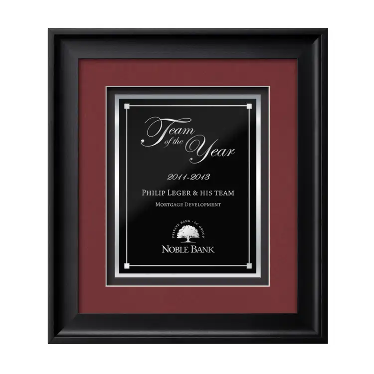Heidelberg Gemini Framed Award #6