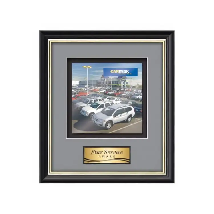 Waterleaf Baron Multicolor on Metal Framed Award #11