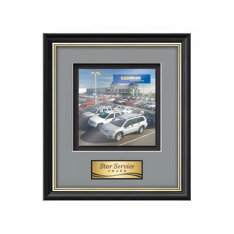 Waterleaf Baron Multicolor on Metal Framed Award #13