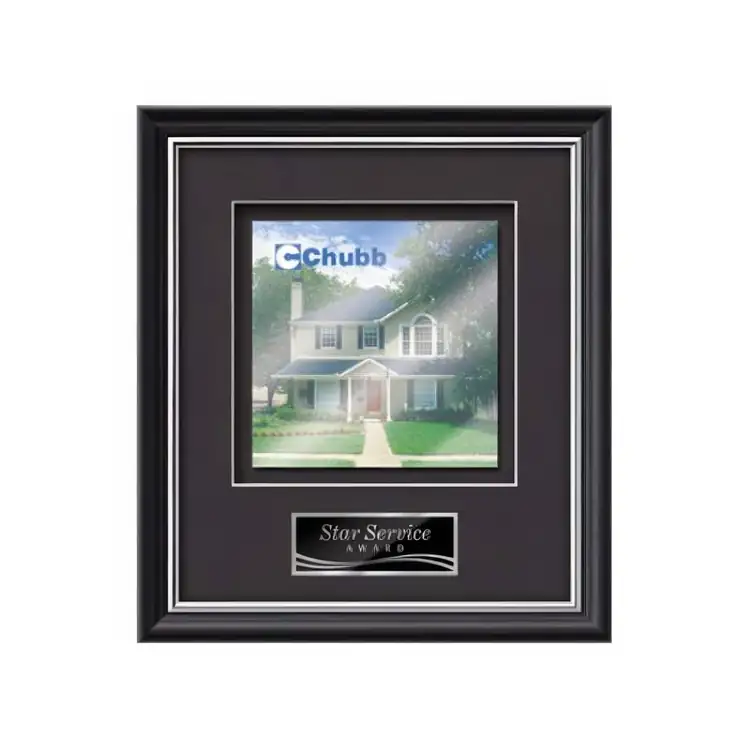 Waterleaf Baron Multicolor on Metal Framed Award #3