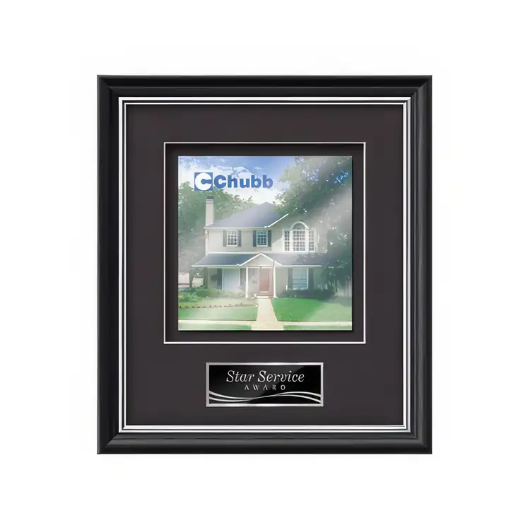 Waterleaf Baron Multicolor on Metal Framed Award #5