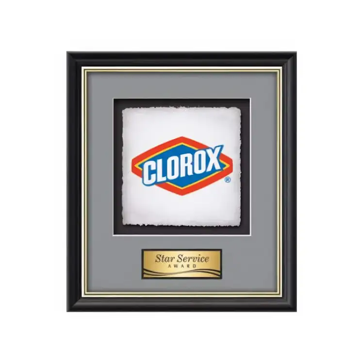 Waterleaf Baron Multicolor on Artisan Paper Framed Award #11