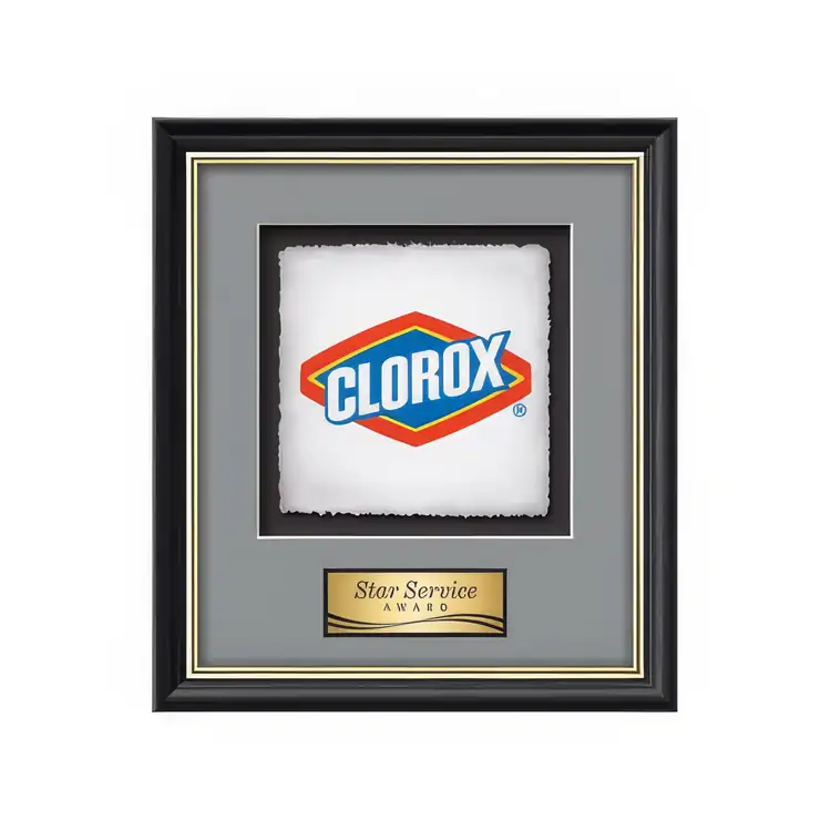 Waterleaf Baron Multicolor on Artisan Paper Framed Award #13