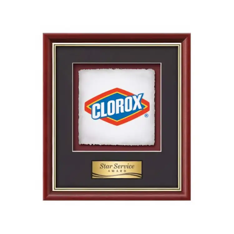 Waterleaf Baron Multicolor on Artisan Paper Framed Award #7