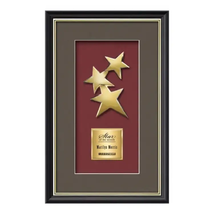 Plaque encadrée Waterleaf Baron constellation #2