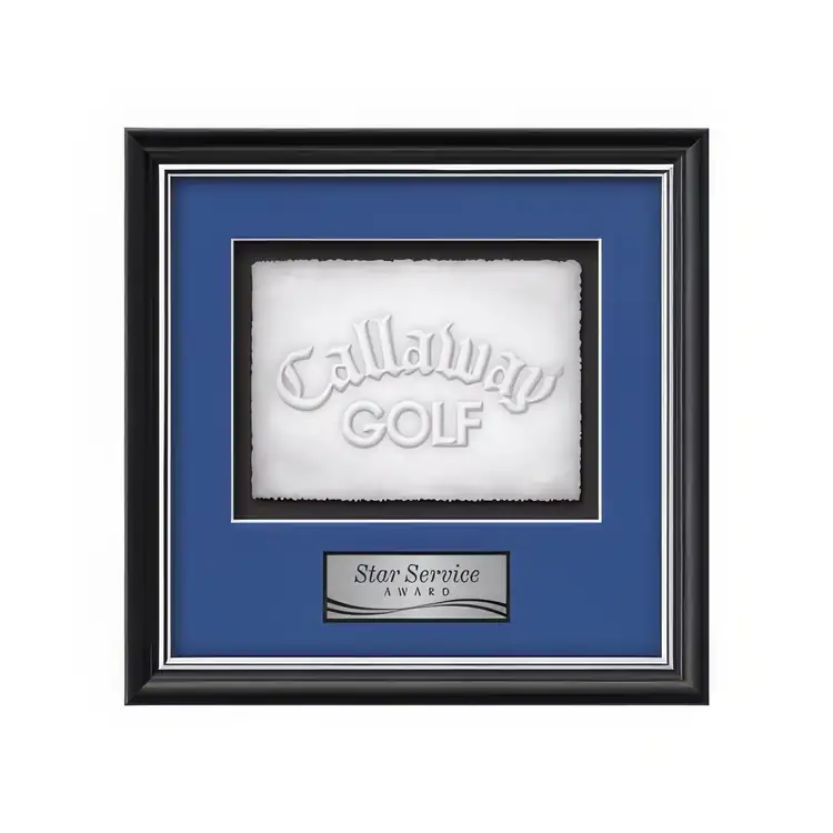 Waterleaf Baron Cast Paper Framed Award #10