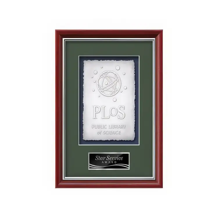 Waterleaf Baron Cast Paper Framed Award #11