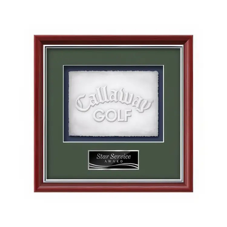Waterleaf Baron Cast Paper Framed Award #13