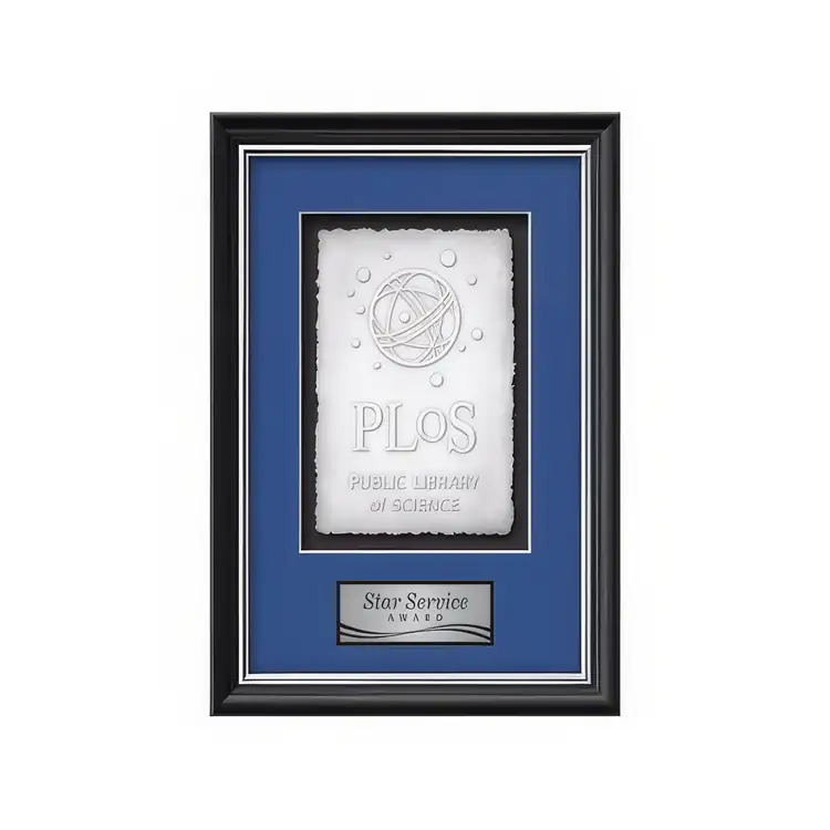 Waterleaf Baron Cast Paper Framed Award #8