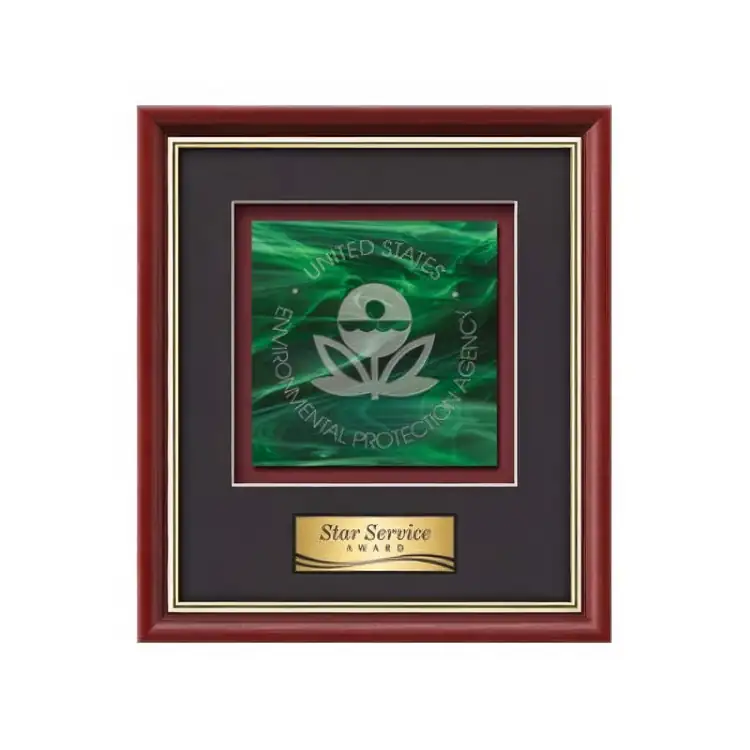 Waterleaf Baron Stained Glass Framed Award #3