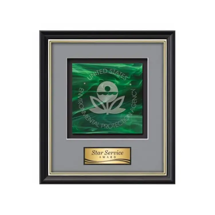 Waterleaf Baron Stained Glass Framed Award #7