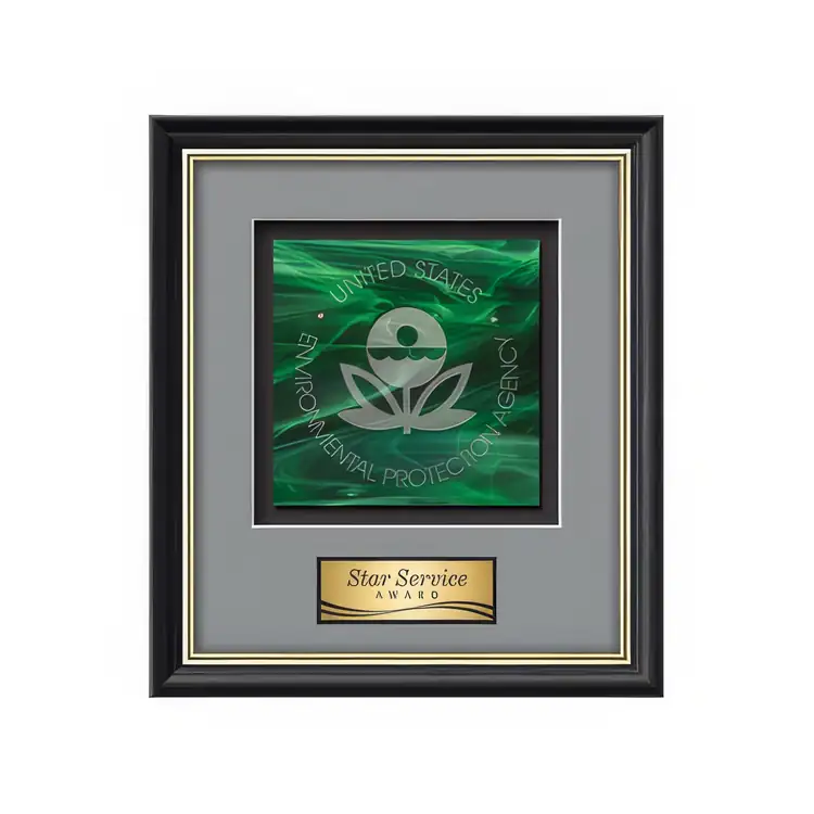 Waterleaf Baron Stained Glass Framed Award #9