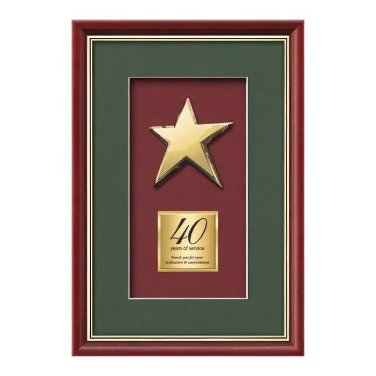 Waterleaf Baron Rising Star Framed Award #2