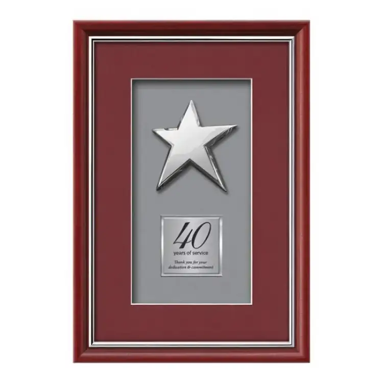 Waterleaf Baron Rising Star Framed Award #3
