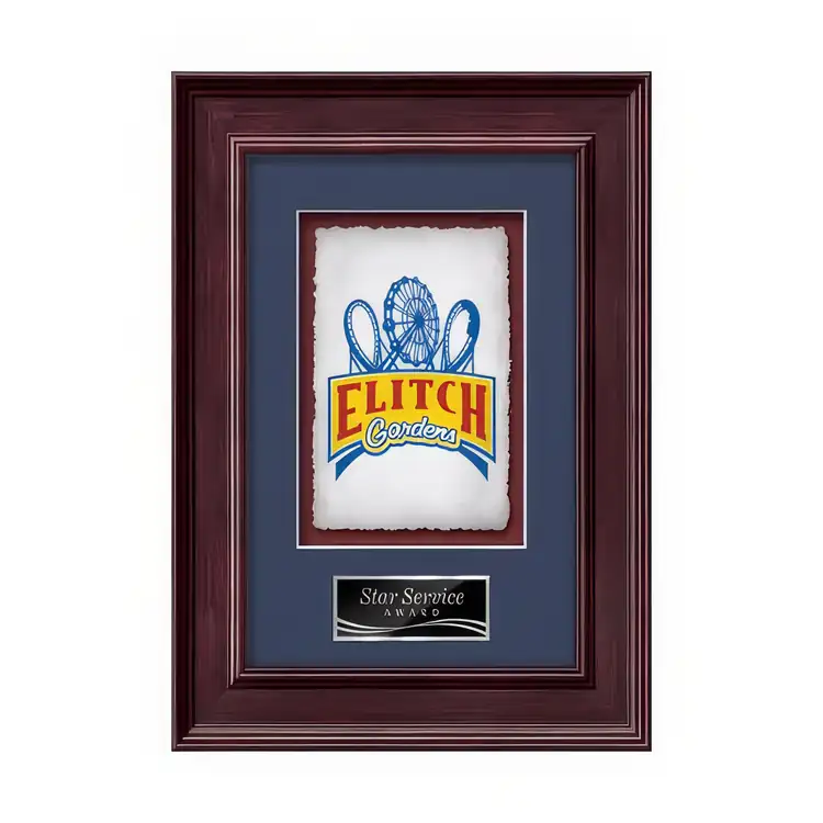 Waterleaf Calder Multicolor on Artisan Paper Framed Award #10