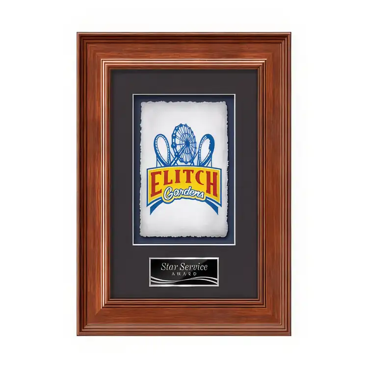 Waterleaf Calder Multicolor on Artisan Paper Framed Award #2