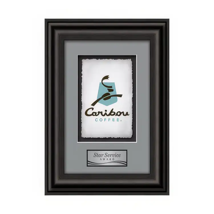 Waterleaf Cardoba Multicolor on Artisan Paper Framed Award #2