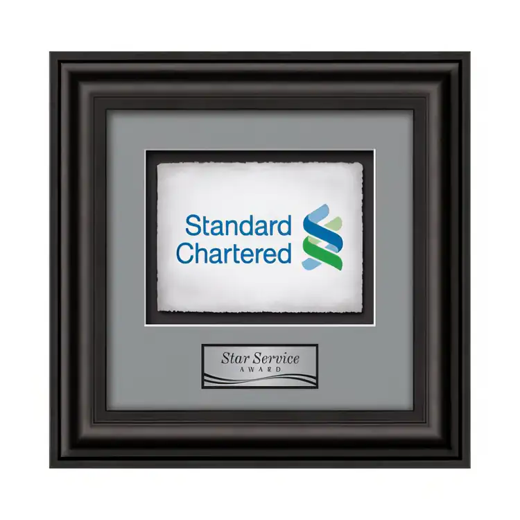 Waterleaf Cardoba Multicolor on Artisan Paper Framed Award #4