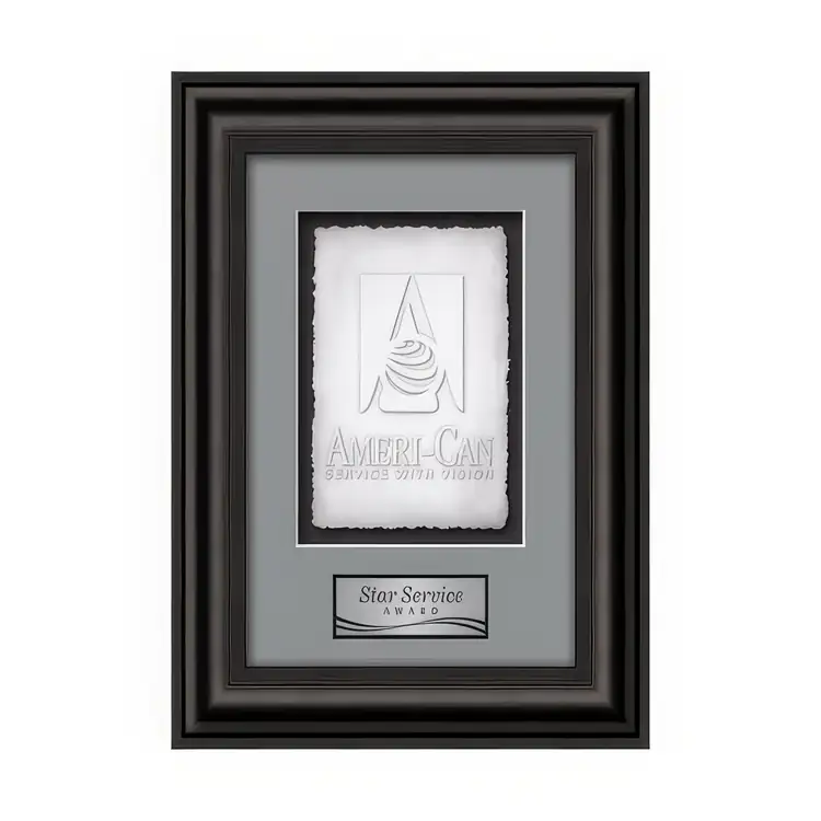 Waterleaf Cardoba Cast Paper Framed Award #2