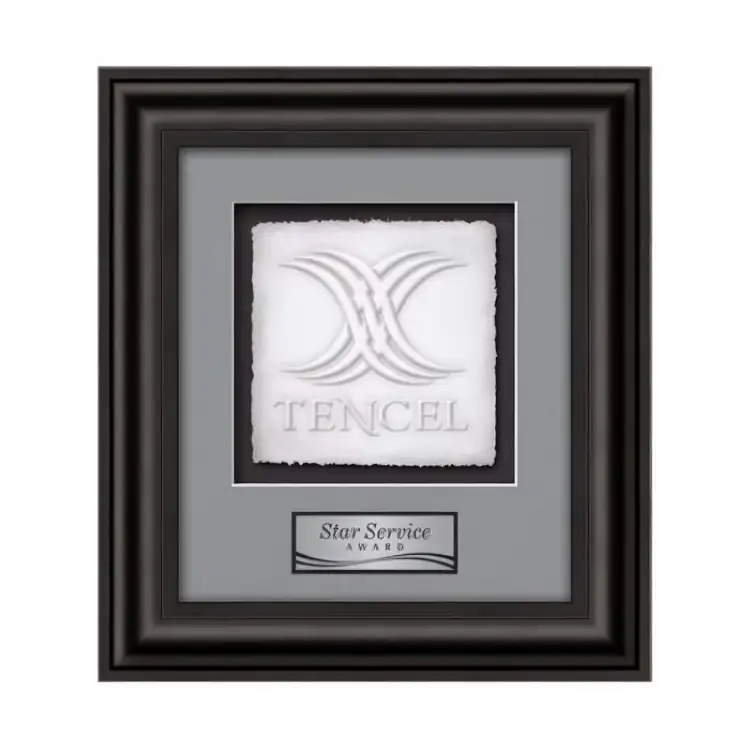 Waterleaf Cardoba Cast Paper Framed Award #3