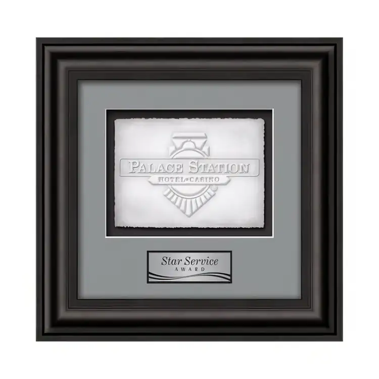 Waterleaf Cardoba Cast Paper Framed Award #4