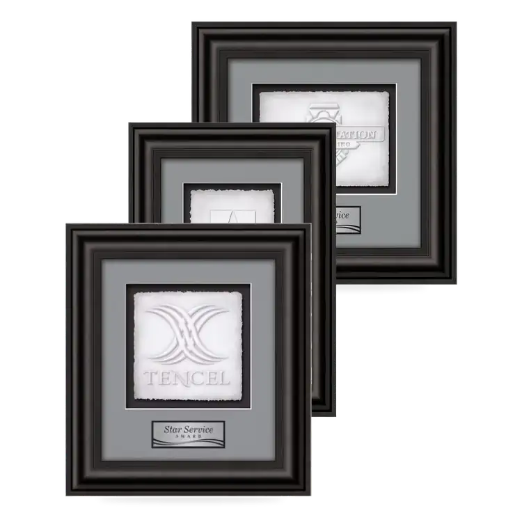 Waterleaf Cardoba Cast Paper Framed Award