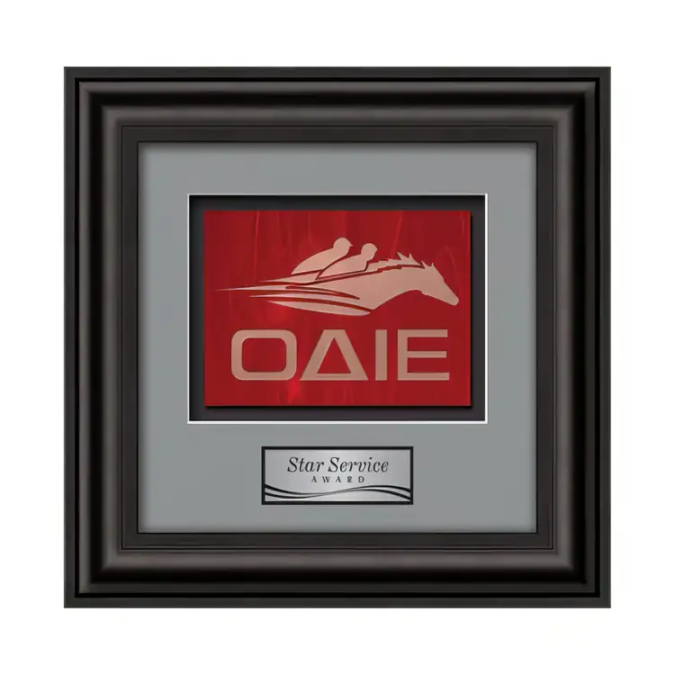 Waterleaf Cardoba Stained Glass Framed Award #4