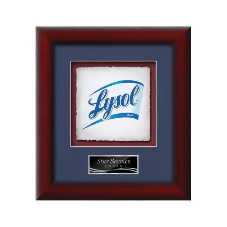Waterleaf Eco Multicolor on Artisan Paper Framed Award #3