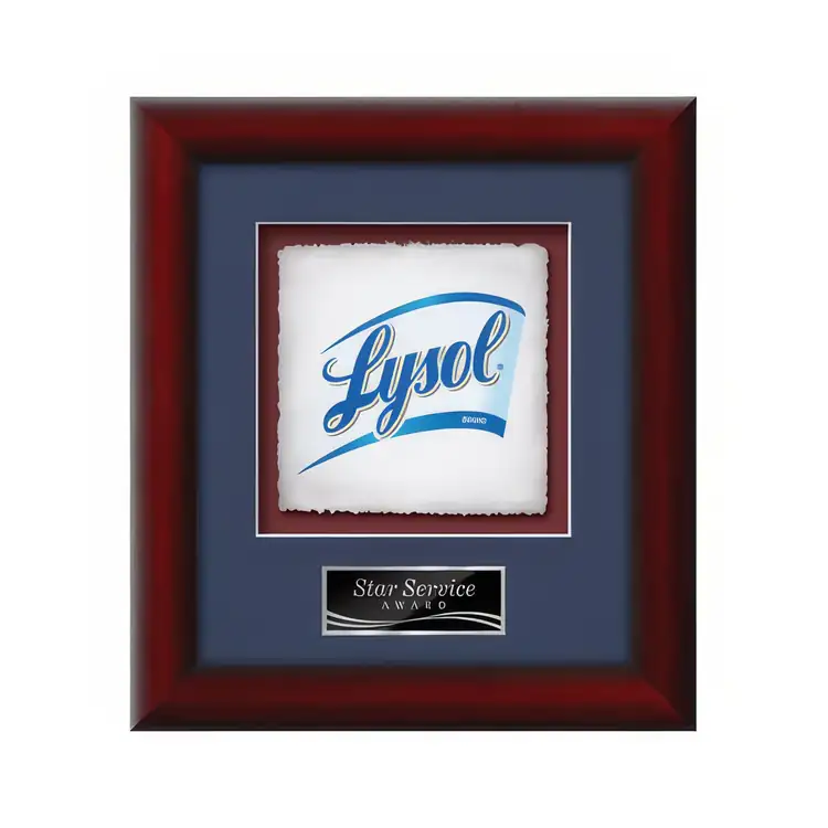 Waterleaf Eco Multicolor on Artisan Paper Framed Award #5