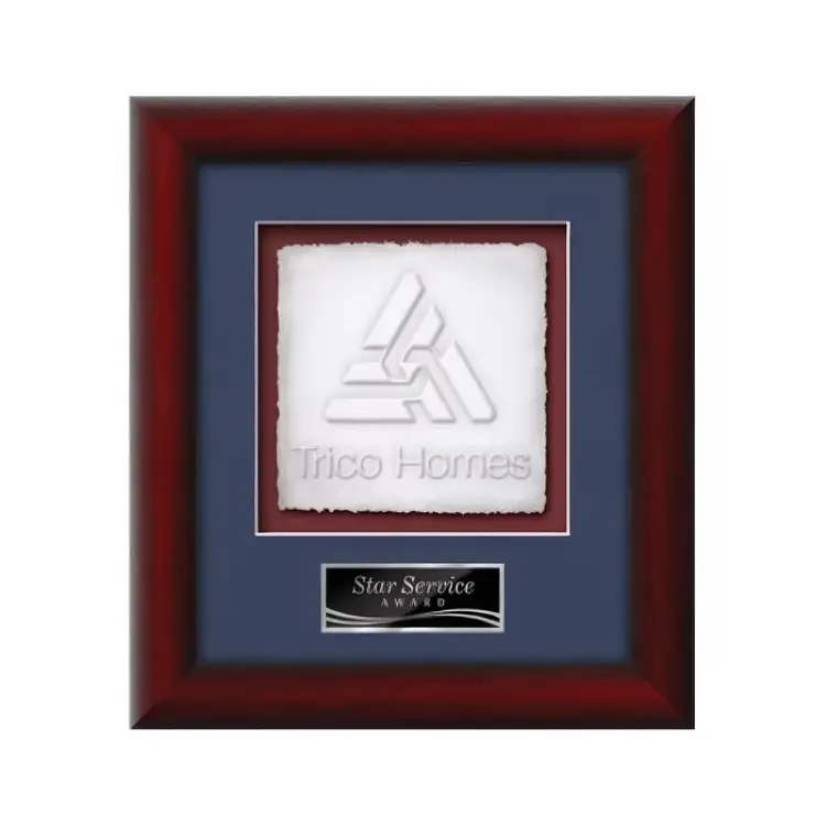 Waterleaf Eco Cast Paper Framed Award #3