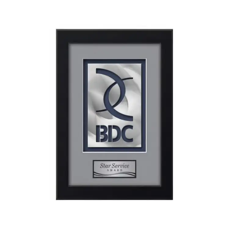 Waterleaf Eldridge AquaShape Framed Award #49